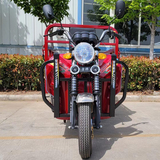 Pedal Model Tricycle