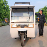 Electric Closed Cargo Tricycle